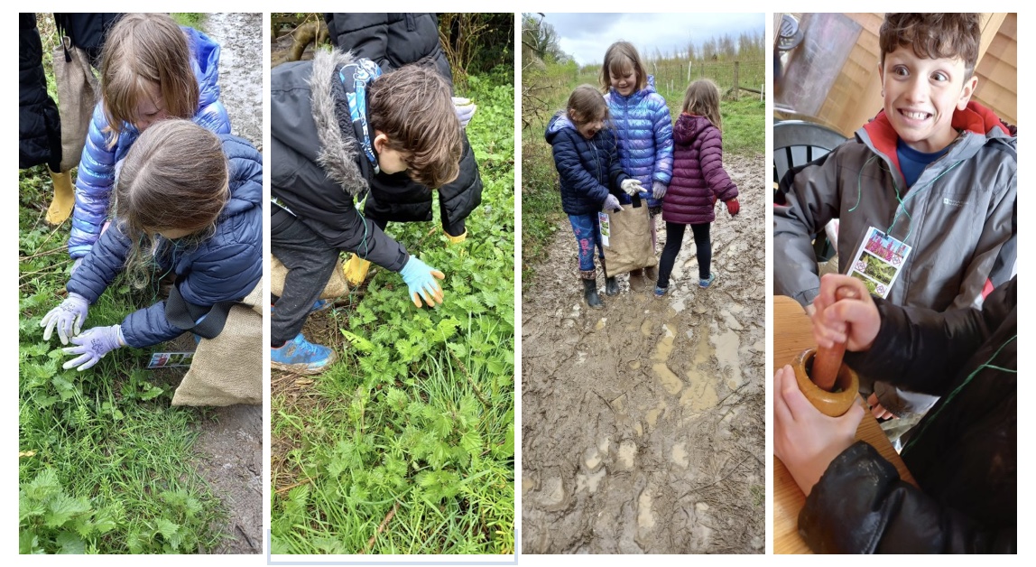 The Andover Youth Shoots supported Nature & Community Officer Jo to introduce the Nature Explorers (school holiday activities for young people) to foraging, learning about plants and how they feed us and other animals. 🌱 Roots & Shoots UK 🌱 rootsnshoots.org.uk/blog/2024/04/0…