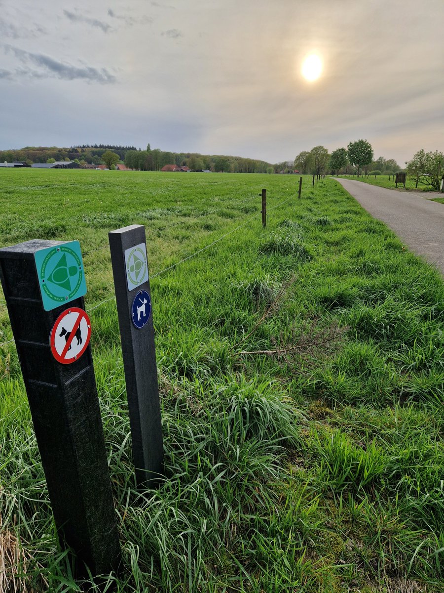 Gedeelte Poort van Lochem wandelroute tijdelijk alleen voor broedende vogels mooilochem.nl/gedeelte-poort…