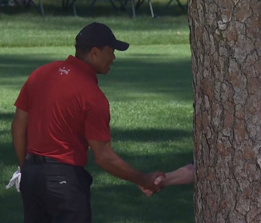 Me thanking the tree that gave me my baseball bat #BestOutsideOfOmaha