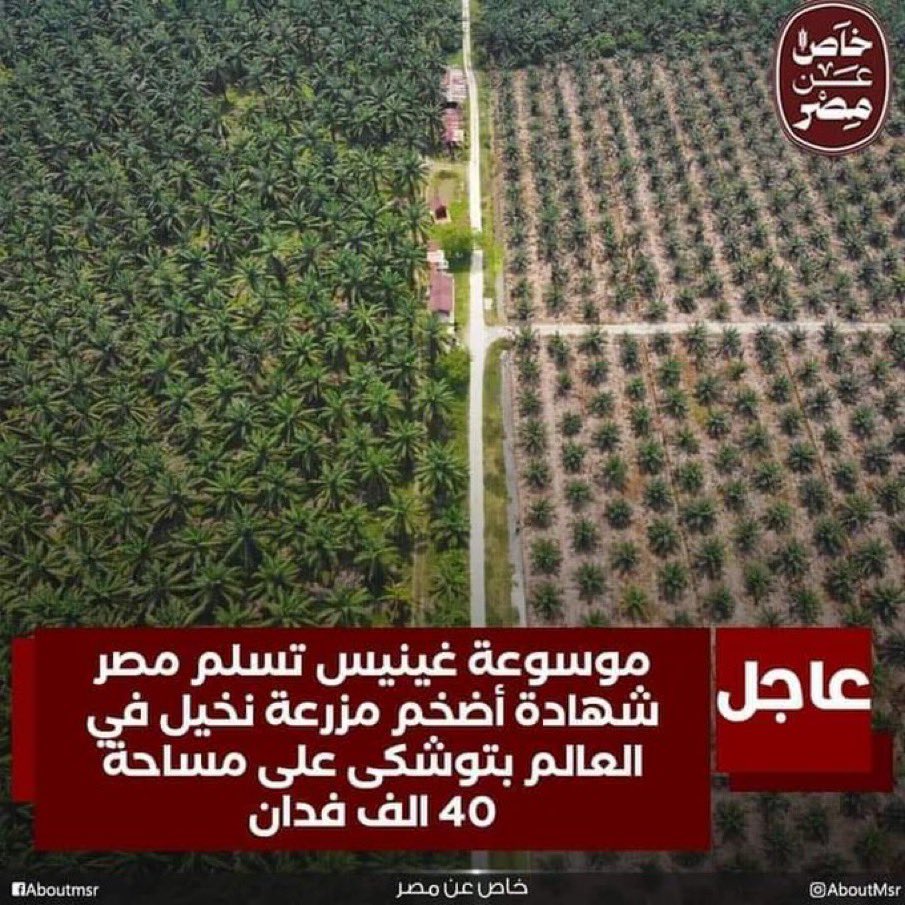 موسوعة جينيس تسلم مصر شهادة أضخم مزرعة نخيل في العالم في توشكي على مساحة 40 ألف فدان 🇪🇬💪♥️