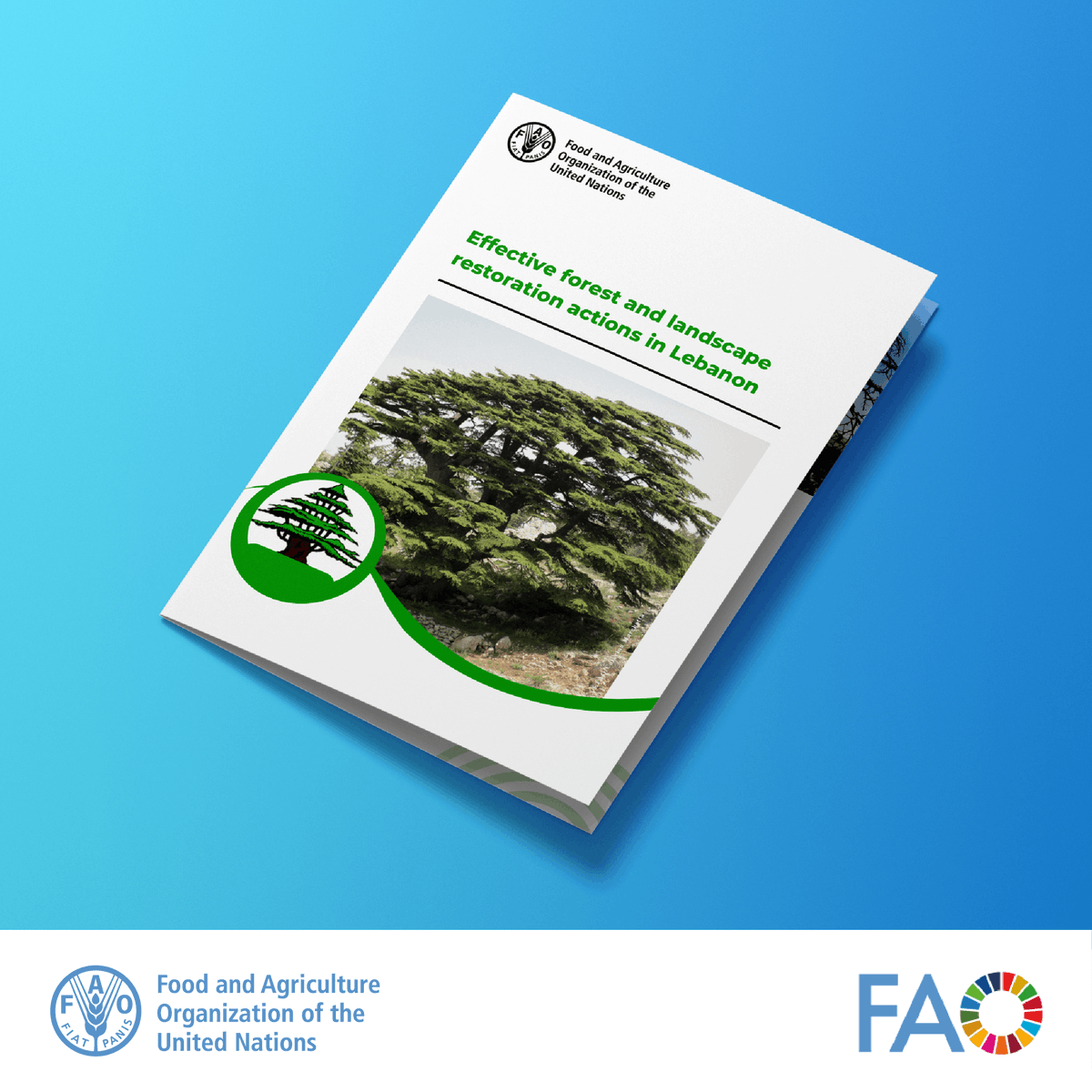 Download a new free @FAO publication Effective forest and landscape restoration actions in Lebanon: A cross-sectoral collaboration between FAO, #Lebanon and #Korea bit.ly/4aWmppI #FLRM #GenerationRestoration @FAOLebanon @FAOinNENA_En @FAOROK