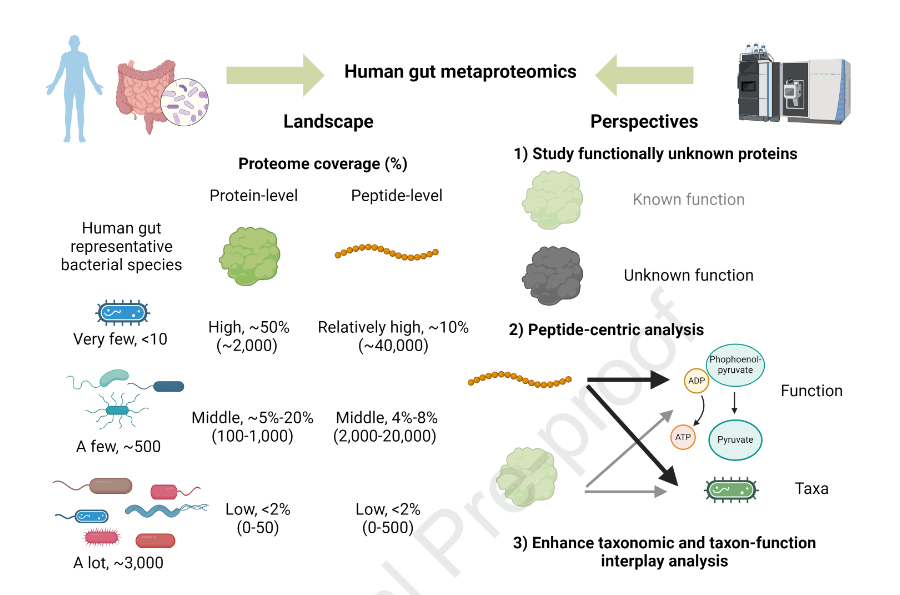 How dark is the dark-field of the gut #metaproteome? what are we missing? Check out the paper by Sun et al. The good news: predicted protein structures, peptide centric approaches and DIA are making the dark-field a little bit brighter. @NorthOmics mcponline.org/article/S1535-…