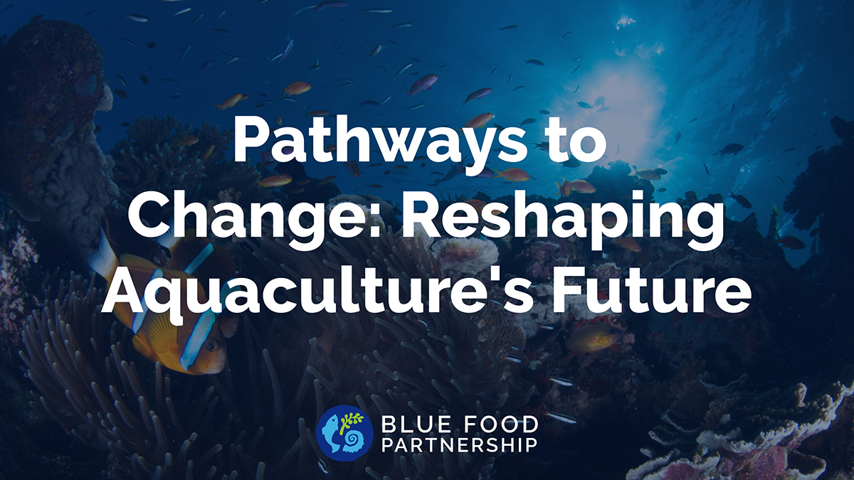 Celebrating 1 year of Global #SustainableAquaculture Roadmap! Explore real-world case studies, highlighting positive changes across 4 pathways & dive into #BlueFood Partnership Ghana Initiative Report, a pilot project shaping #aquaculture. 🐟🌿 Stay tuned! aquacultureroadmap.org/aquacultureroa…
