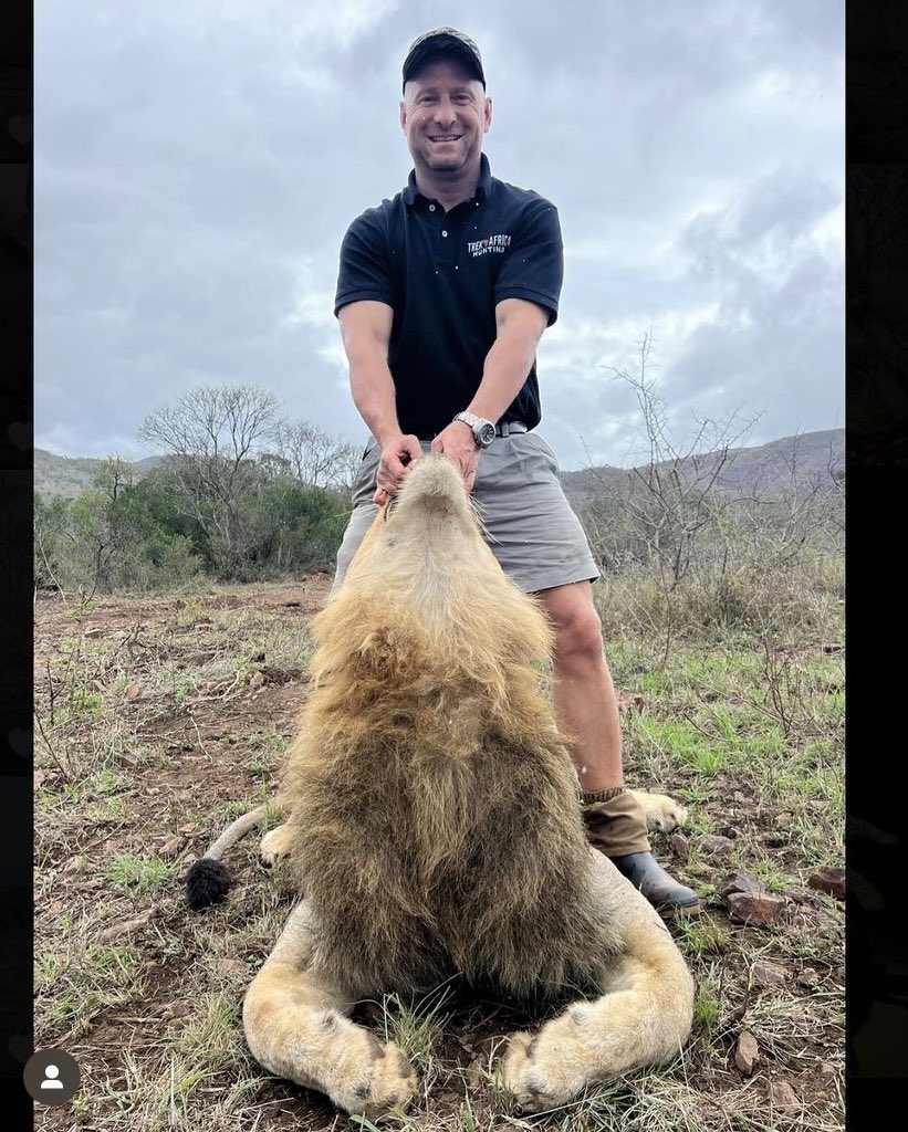 Mario Tinkler (Trek Africa Hunting, SA) is relieved that his clients can hunt a few more captive bred lions before the ban comes into effect in 2026.The mindset of these killers,is sick.🤬 #BanTrophyHunting RT @SARA2001NOOR @Angelux1111 @Gail7175 @DidiFrench @Lin11W @PeterEgan6