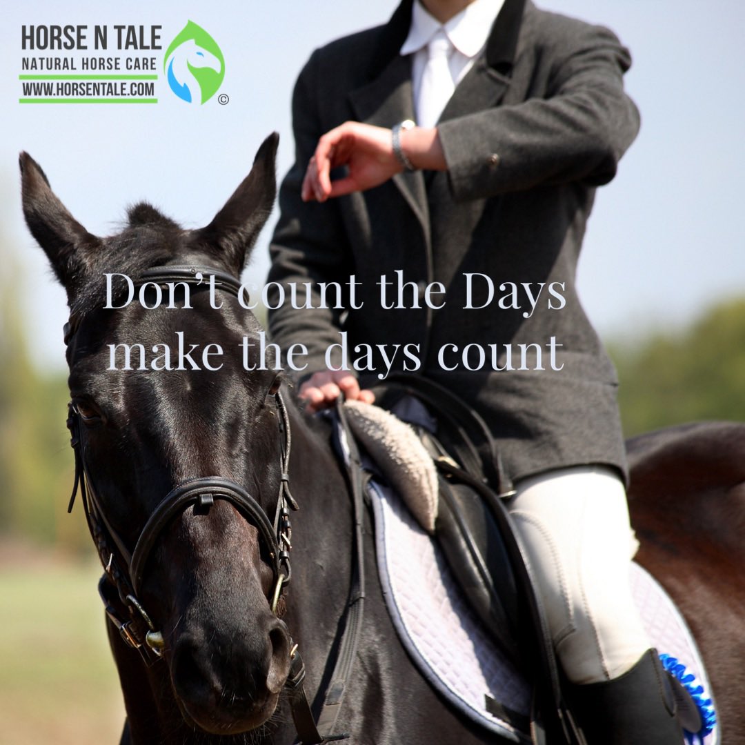 Monday Motivation.

Don't count the Days make the days count.

#horsentale #topicalequineproducts #naturalhorsecare #equine #horse #naturalingredients 
#teamhnt #teamhorsentale 
#motivationmonday #MondayMotivation #MondayMotivation #Monday #Mondaymindset