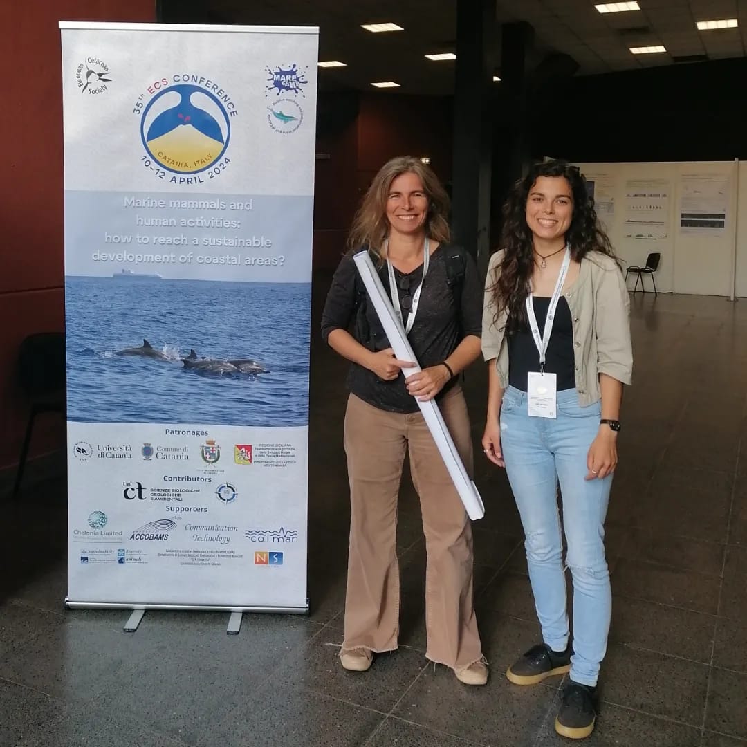 35th European #Cetacean Society #Conference 🐬🐳

Last week, part of our team was present at this scientific conference where we have presented 2 posters. 

#ECSconference2024
#dolphins #oceansafari #atlanticocean #sagres #marilimitado #marilimitadosagres