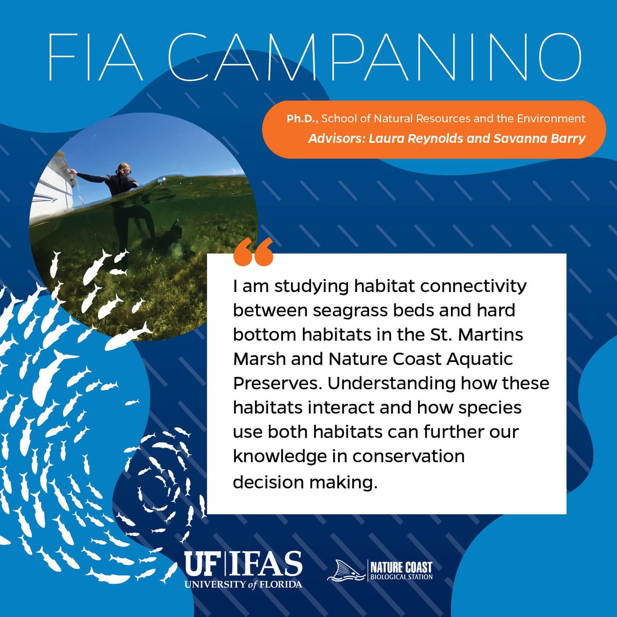 Closing out #GradStudentAppreciation week with Trenton Aguilar of FAS (@SFFGS_UF) who is studying green turtle vessel strikes. Additionally from @UFSNRE, Megan Siemann, a diet data modeler, and Fia Campinino who is comparing habitats in Florida's Aquatic Preserves. 👏