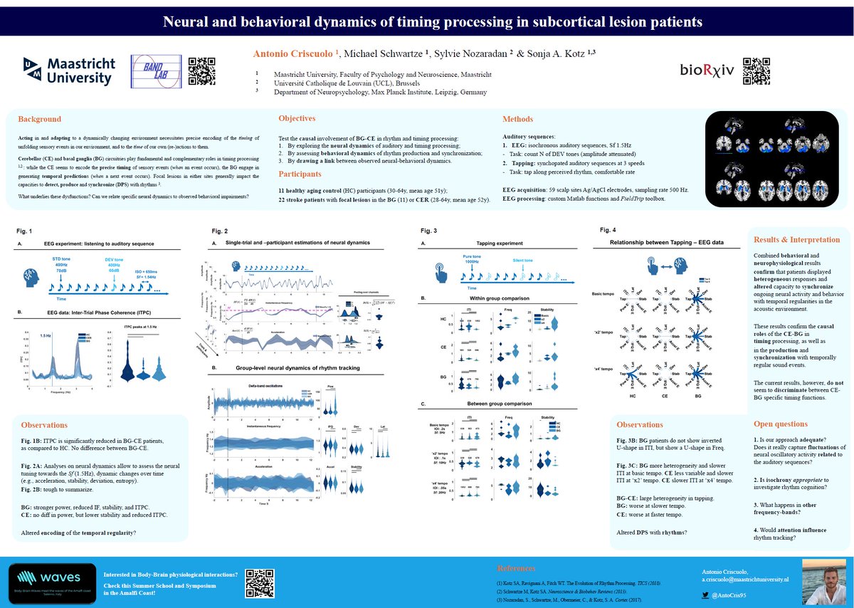 Come check my poster at #CNS: neural and behavioral #dynamics of #timing processing in subcortical lesion patients Do focal lesions in the basal ganglia and cerebellum impact timing processing and production? See you at poster E106!