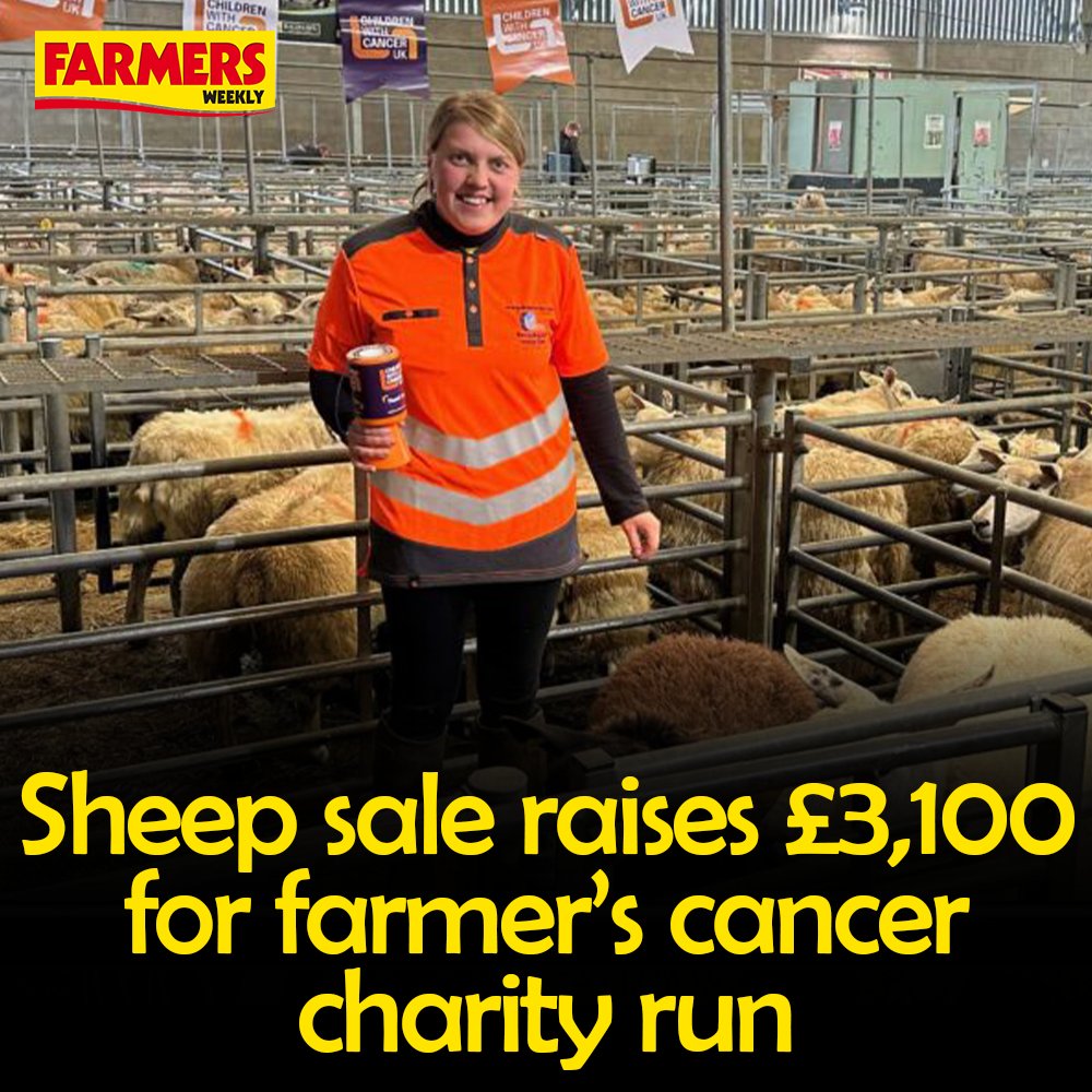 👏 Staffordshire farmer Katie-Alice Healey is running the London Marathon on Sunday to raise funds for the charity @CwC_UK. READ MORE: fwi.co.uk/farm-life/shee…