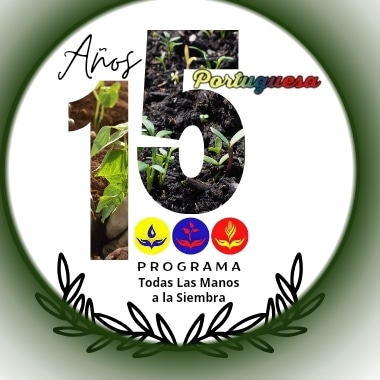 Somos constructores de sueños profesionales de la esperanza.

#15AñosPTMS
#ElEnsemillamientoEstaMaduro
<a href="/NicolasMaduro/">Nicolás Maduro</a>
@_laavanzadora
<a href="/jhoagaby/">Jhoanna G Carrillo M</a>
<a href="/_NancyOrtuno_/">Nancy Ortuño Rojas</a>