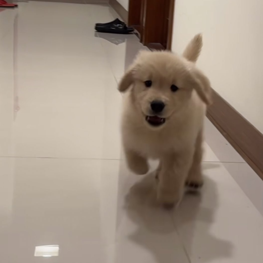 ค้าบ มะกี้เทอเรียกเค้ามั้ย 🥺