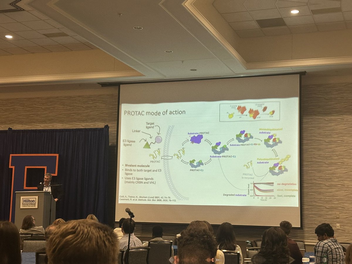 Fantastic talk by @alessiociulli @UF Drug Discovery Symposium from @UFPharmacy. Excellent PROTAC and molecular glue developments. Exciting future for drug discovery in this space.