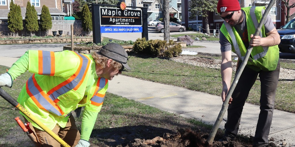 With winter behind us, I would like to take a moment to highlight the vital work the Streets and Urban Forestry Division does for all Madisonians. Their work for us really blossoms this time of year! Read more here: ow.ly/k5g750Rgfyu