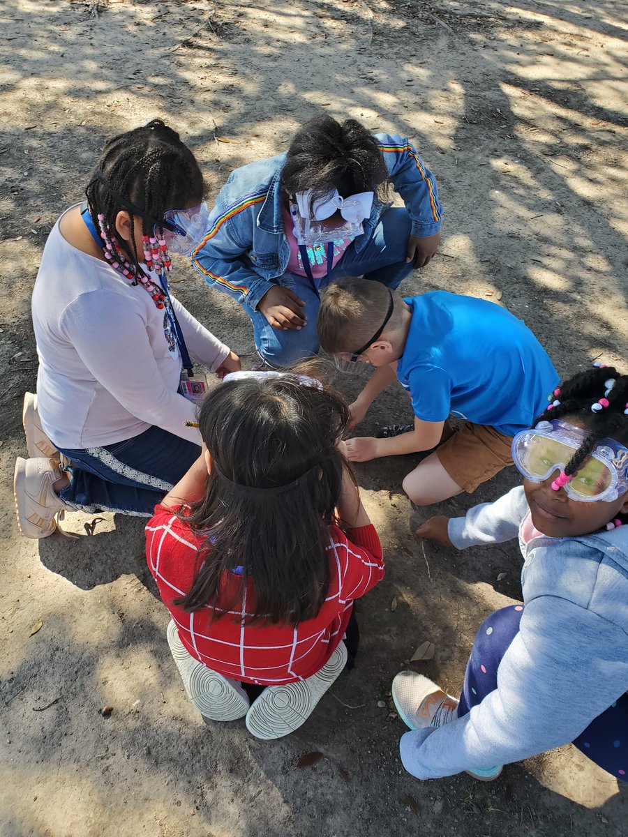 Our little scientists in action!

<a href="/ShihReads/">Mrs.Navarro-Shih</a> 
<a href="/BangElementary/">Bang Elementary</a>