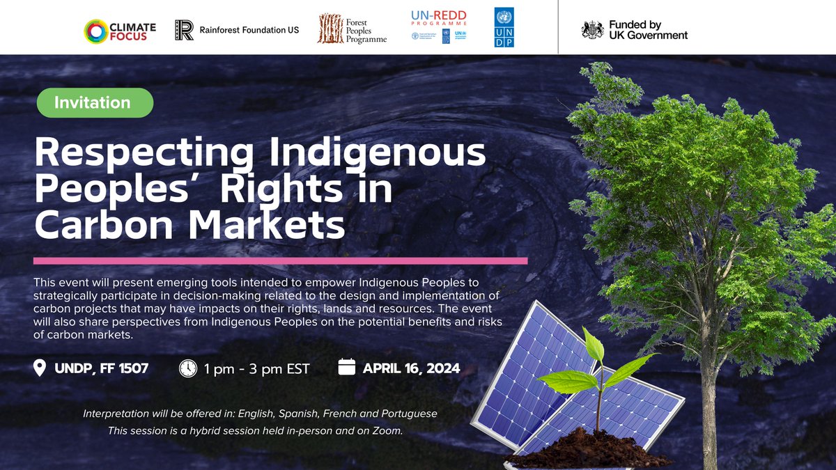 📢Ensuring integrity in carbon credits generated from Indigenous peoples territories means respecting their #rights. Join FPP at the #UNPFII Side Event 'Respecting #IndigenousPeoples rights in #CarbonMarkets' 📅Apr 16, 1 PM EST 📍UNDP FF 1507/Zoom 🔗undp.zoom.us/webinar/regist…