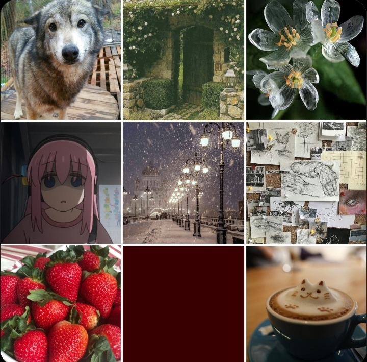 Cheetoc4t's tweet photo. how I see me and how pinterest sees me:3 (+ template) https://t.co/Dli3dOOJC8