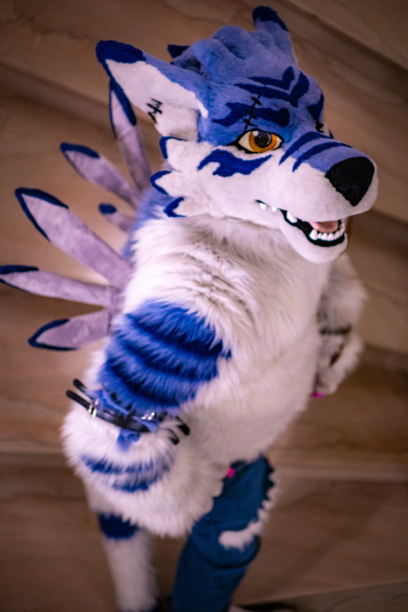 A werewoof catches you spying on him from above, what do you do? #werewolf #Digimon #Weregarurumon #WeregaruruMonday !