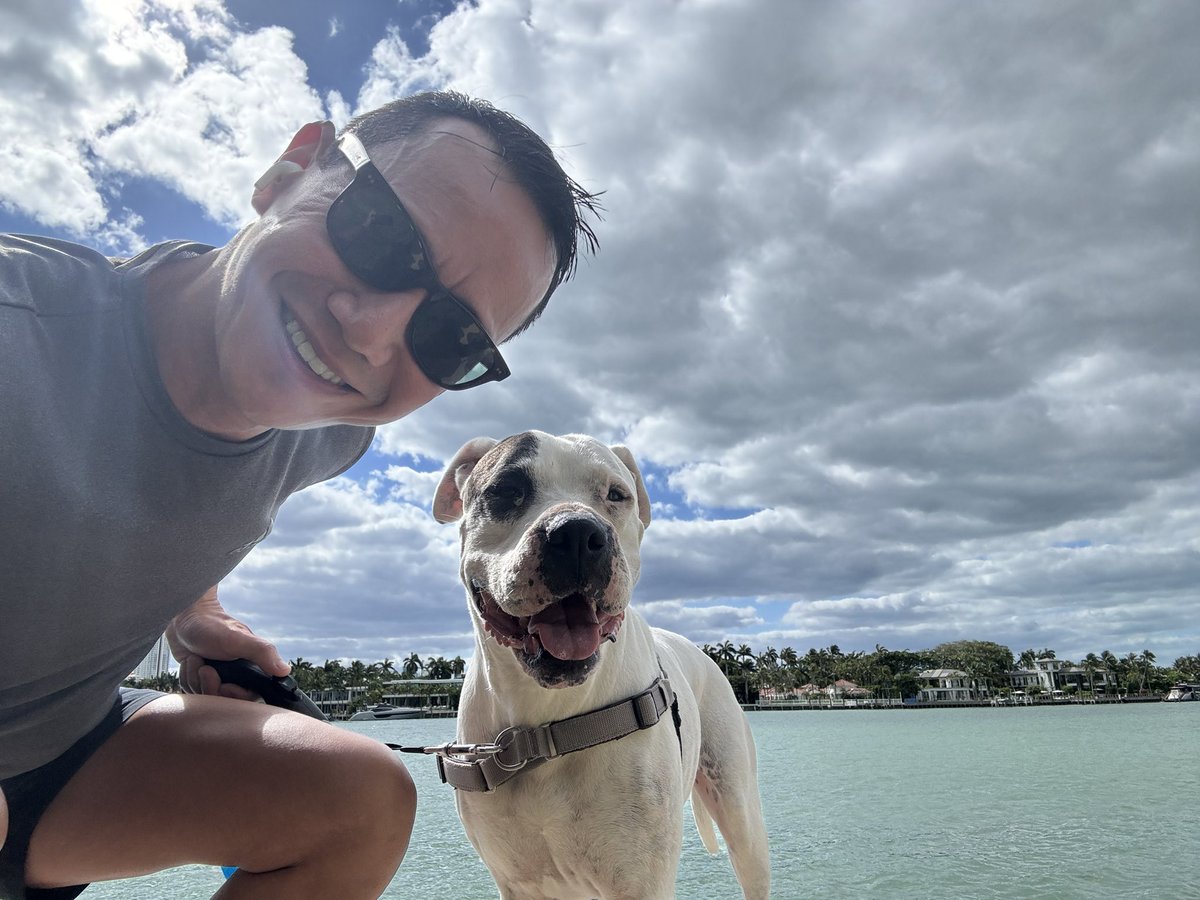 Happy Monday friends! Have a productive and good week! @humanesociety @deafdognetwork #dogsoftwitter @contextdogs @tweeetsofdogs @deafdogrescue #americanbulldogs #rescuedog #dogdad #dogsofmiami @dog_rates @DoggosDoing