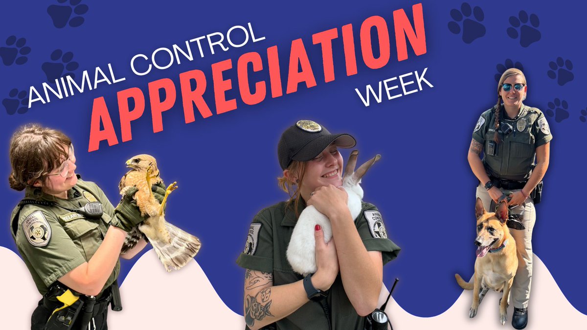 CedarParkPD's tweet photo. This is also Animal Control Officer Appreciation Week!

THANK YOU:
🐾ACO Supervisor Medvec
🐾ACO Melant
🐾ACO Kowalski 
for going above and beyond to protect the welfare of pets and animals in our community every day.

Your compassion is amazing!💙 #AnimalControlAppreciationWeek https://t.co/0rltL1tXNR