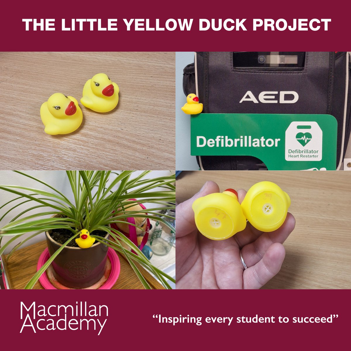 Our staff today went on the hunt! 50 little ducks have been hiding in the academy as part of a global awareness campaign. Let's spread the word about the importance of blood, bone marrow, and organ donation.