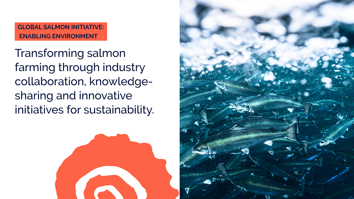 Transforming salmon farming through industry collaboration, knowledge-sharing and innovative initiatives for sustainability. 🐟🌿 @GSI_salmon