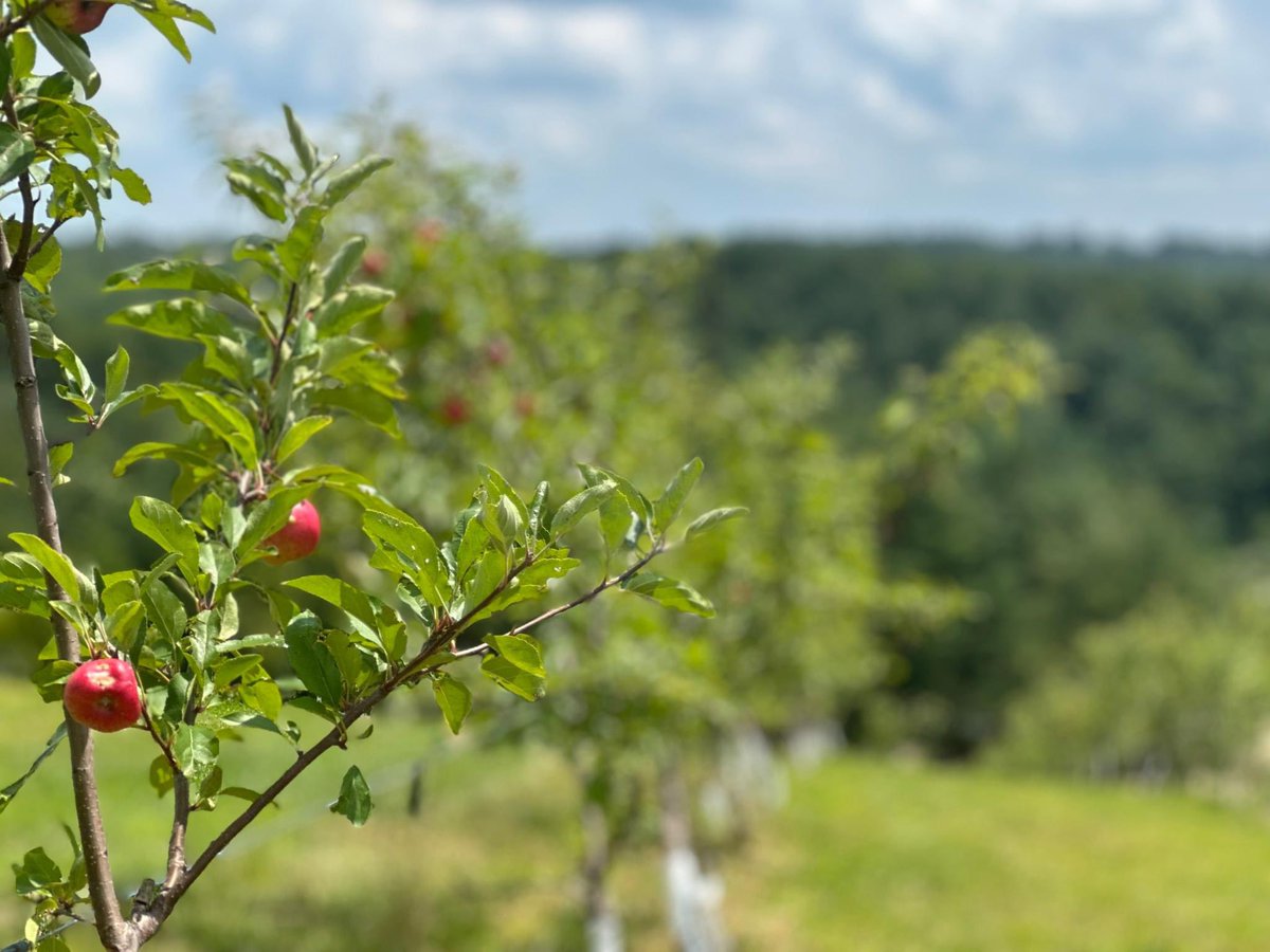 I will be hosting a media day on April 23rd at our Patriot Guardens Apple Project in Nicholas Co. This innovative project has taken abandoned mine land and turned it into a thriving Apple orchard. If you would like to join me, please RSVP to @WVNationalGuard 304-561-6689.