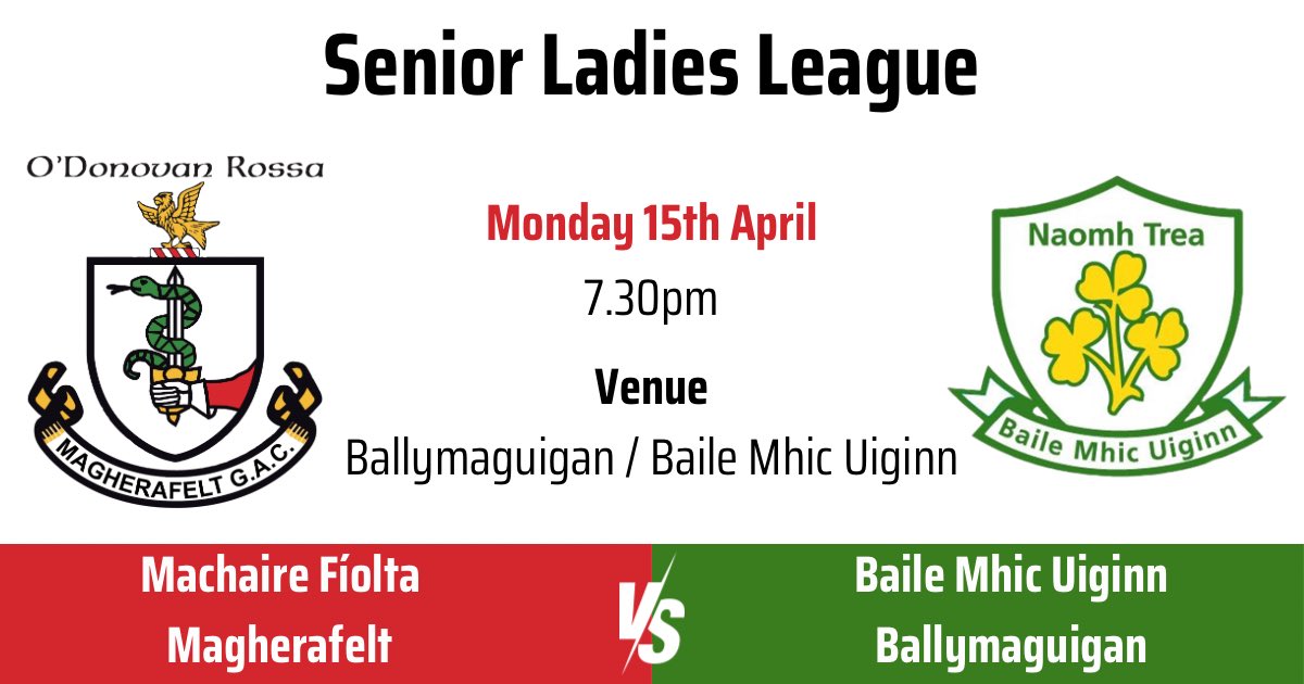 Senior Ladies in action tonight. 🇦🇹🏐