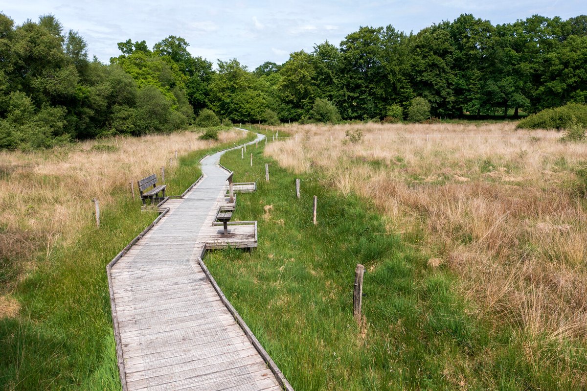 #LundiMotivation 🌿 🙌✨ Falaises, dunes, landes, marais, forêts et le bocage... (Re)découvrez les Espaces Naturels Sensibles qui font la richesse de la #Manche pendant les #visites thématiques organisées jusqu'au mois d'octobre ! ➡️ pulse.ly/ihcmua1qqp