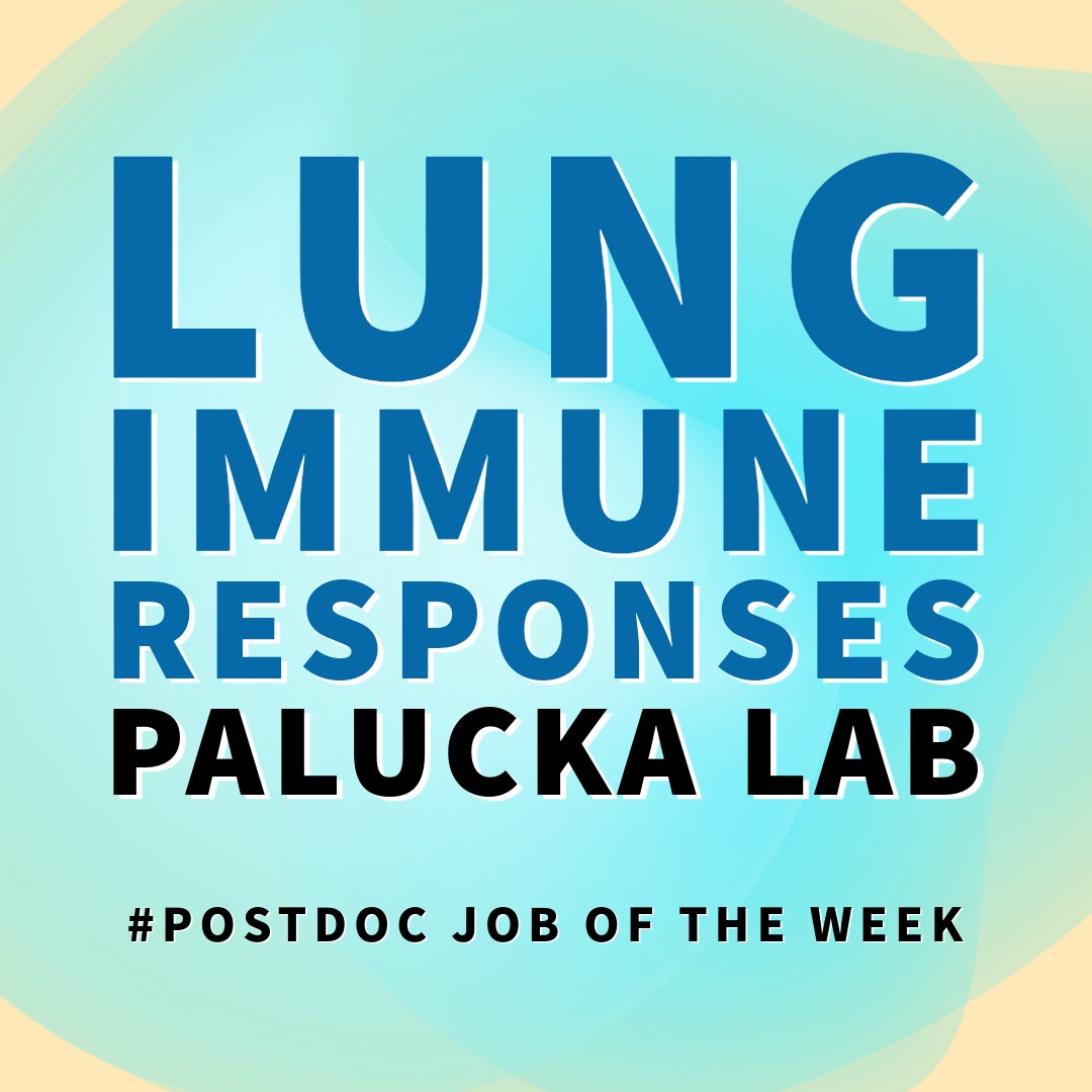 #Postdoc job of the week: Join the @PaluckaLab to uncover the impact of aging on epithelial barrier function & downstream regulation of immune responses in healthy people and patients with lung cancer: bit.ly/43TxVQw

#postdocs #postdocjobs