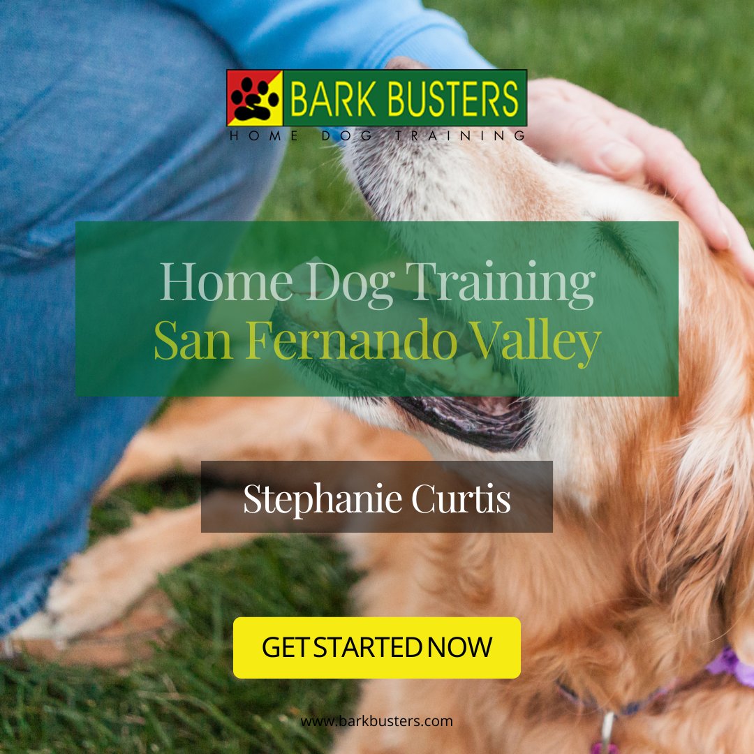 Discover the Joy of Shared Happiness with Your Canine Companion.
.
Visit bit.ly/BarkBustervall… to learn more.
.
#stephaniecurtis #dogtraining #puppytraining #valleydogtraining #inhomebehavioraltraining #caninecommunication #humaneapproach #dogbehaviorissues