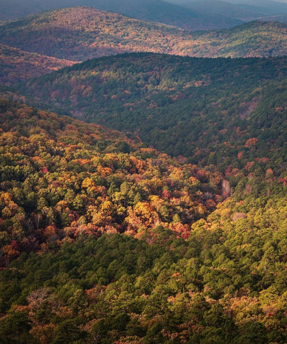 Disconnect from the digital world and rediscover the boundless beauty of the outdoors in Broken Bow, where thrilling adventures wait.
. 
#brokenbow #brokenbowok #brokenbowoklahoma #hochatown #beaversbend #brokenbowcabins #travelok #travel #vacation #oklahoma
📷Theramseychannel