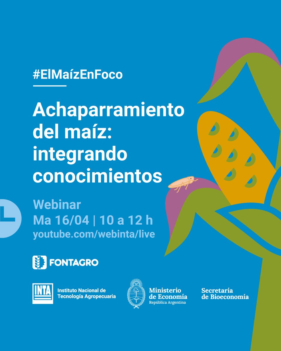 intaargentina's tweet photo. Especialistas de nuestra institución disertarán en un Webinar y brindarán recomendaciones para minimizar el impacto de la enfermedad.

📅16/04 a las 10 hs.
🔴 Seguilo en nuestro canal de Youtube: https://t.co/1z7aPDasTQ https://t.co/8IAGrdWPhc
