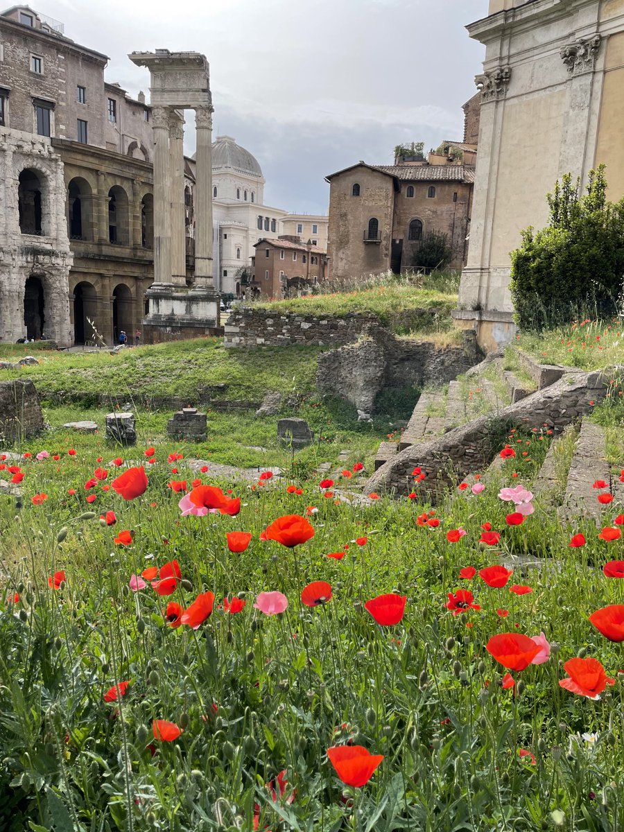 Springtime with monuments