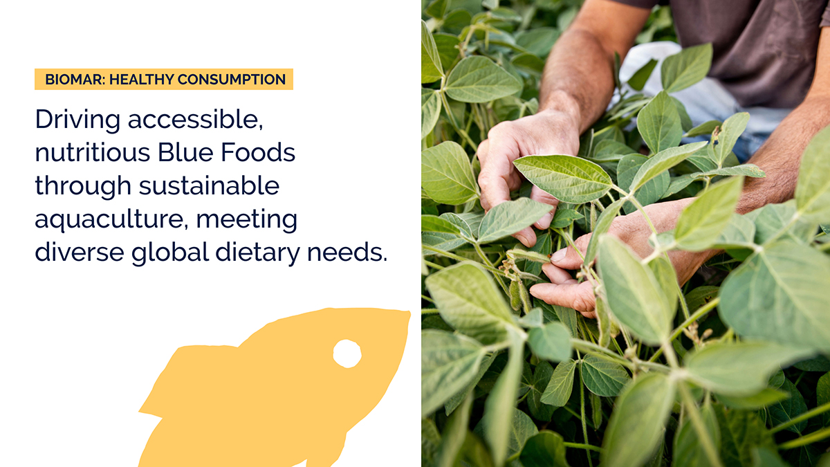 Driving accessible, nutritious Blue Foods through sustainable aquaculture, meeting diverse global dietary needs. 🐟🌿 @BioMarGroup