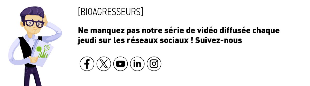 #bioagresseurs #grandescultures #fusariose

aude.chambre-agriculture.fr/productions-te…