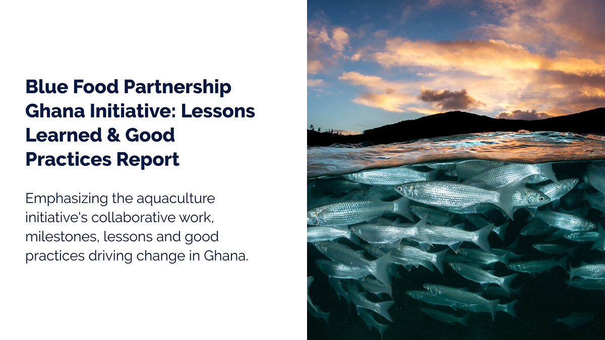 Emphasizing the aquaculture initiative's collaborative work, milestones, lessons & good practices driving change in Ghana. Learn more: aquacultureroadmap.org/aquacultureroa… 🐟🌿 @chamberofaquac1