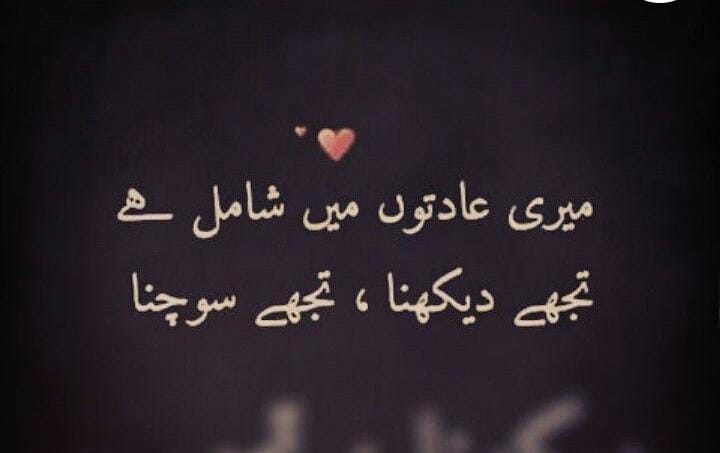 میری عادتوں میں شامل ہے
تُجھے دیکھنا تُجھے سوچنا 
#مہرم
#PTI_Folllowers