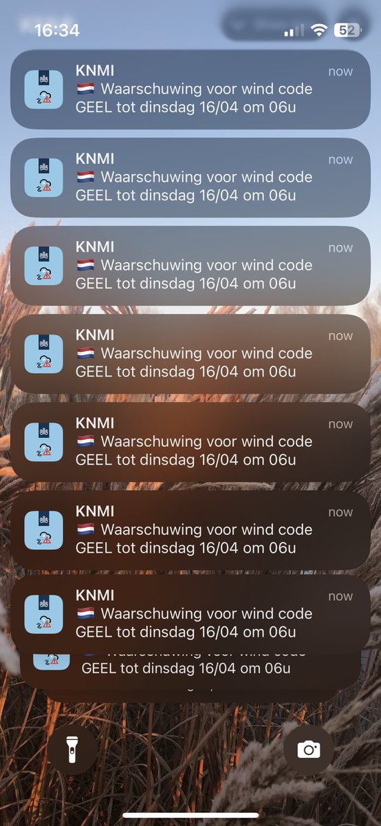 GroentePanda tweet media