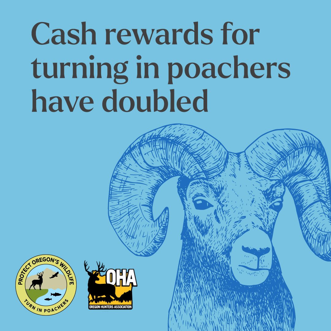 Did you know that you can earn cash or hunter preference points by turning in poachers? Reward amounts go up to $2,000 and go to the first credible report that leads to an arrest or citation. File a confidential report by dialing *OSP (*677) or going to: bit.ly/3VnggOL