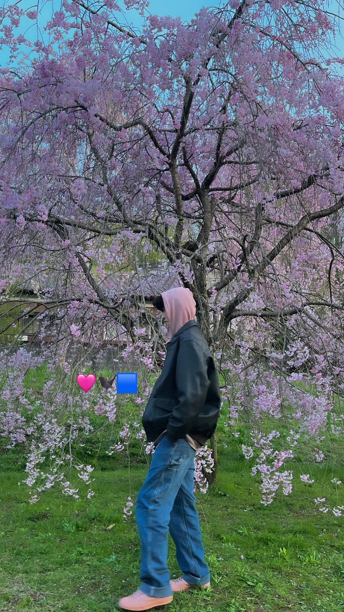 188___niki's tweet photo. 桜見に行ったけど、気温が春じゃないよね笑 https://t.co/tTqYzCl7GU