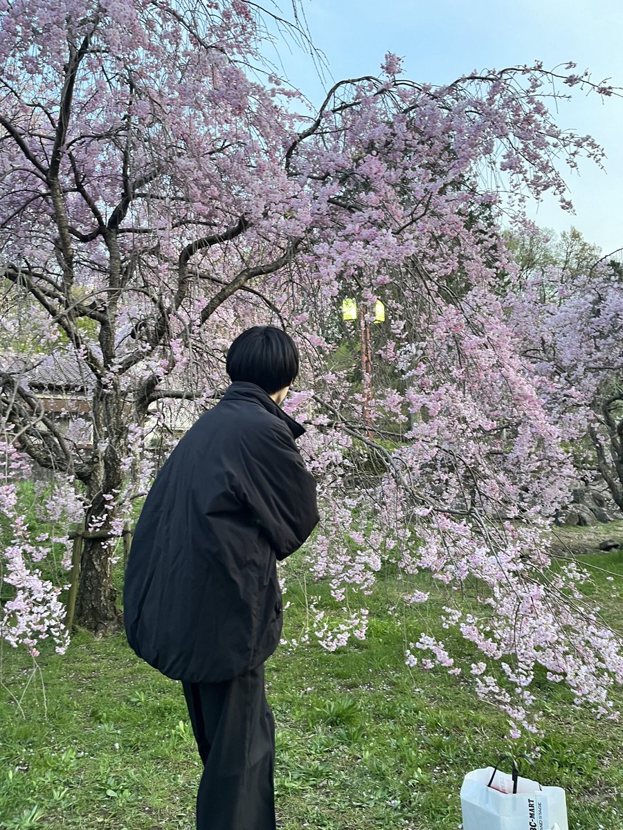 188___niki's tweet photo. 桜見に行ったけど、気温が春じゃないよね笑 https://t.co/tTqYzCl7GU