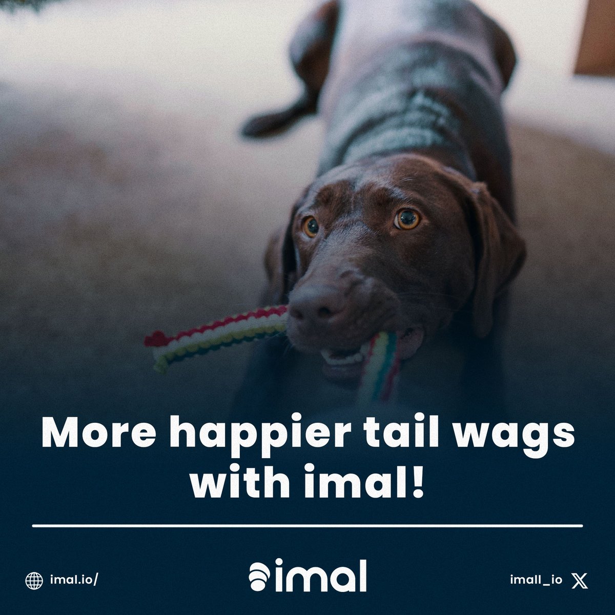 If they are happy we too… Make a difference with IMAL…