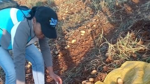 DPE Mayabeque tweet media