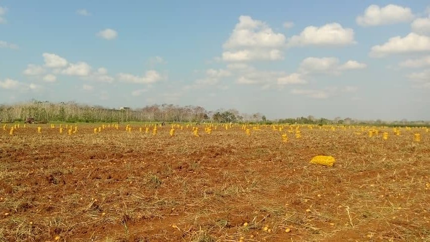 DPE Mayabeque tweet media