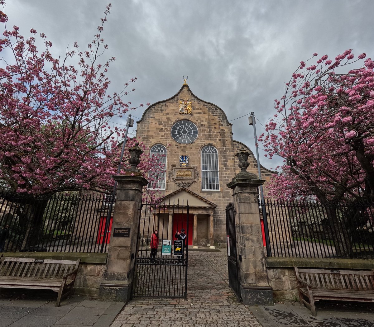 #sakura #CherryBlossoms #CanongateKirk #edinphoto