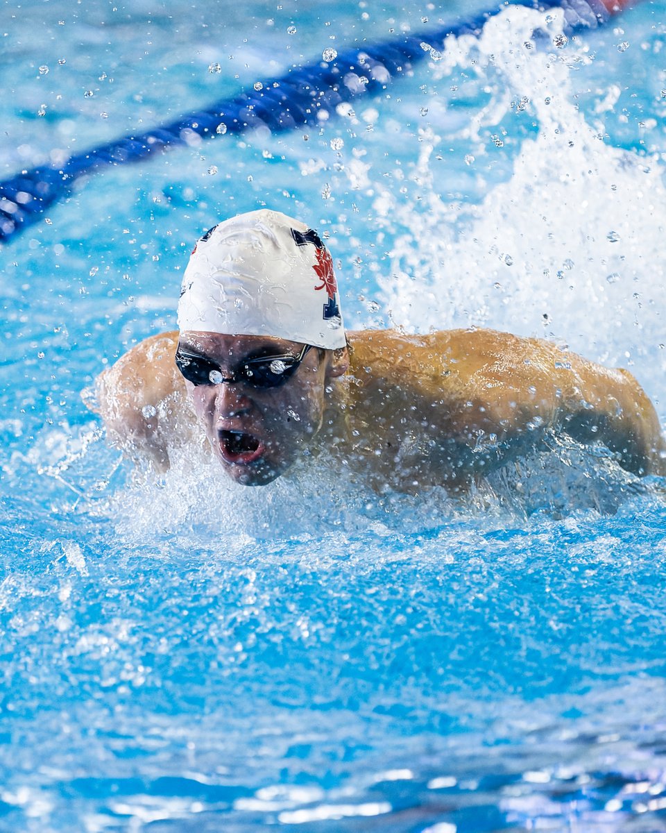 5 more medals! 🥈🥉🥉🥉🥉 Varsity Blues swimmers continue their preparations for the upcoming Olympic Trials in May with a five medal haul at the Canadian Swimming Open. 🗞️: tinyurl.com/5n7w9492 WE ALL #BLEEDBLUE | #WeAreTO