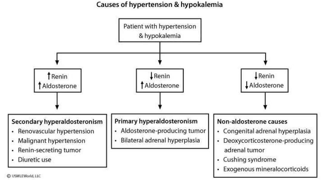 Causes of hypertension & hypokalemia 

Subscribe 👇
youtube.com/@pgmedicine2023