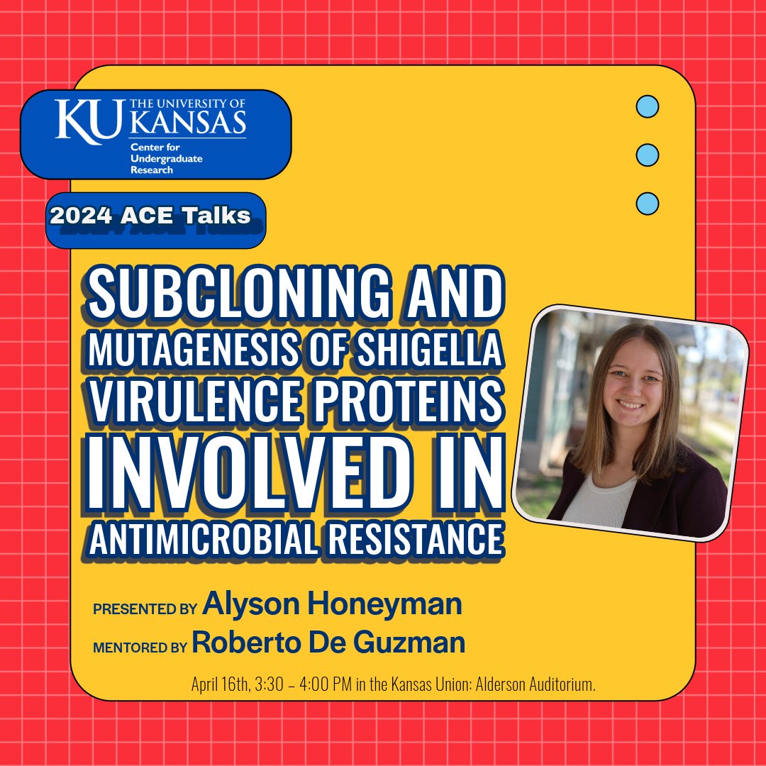 Our next presenter is Alyson Honeyman: “Subcloning and Mutagenesis of Shigella Virulence Proteins Involved in Antimicrobial Resistance.” Her research mentor is Roberto De Guzman. Learn more about Alyson’s research on April 16th, 3:30 – 4:00 PM in the KS Union: Alderson Auditorium