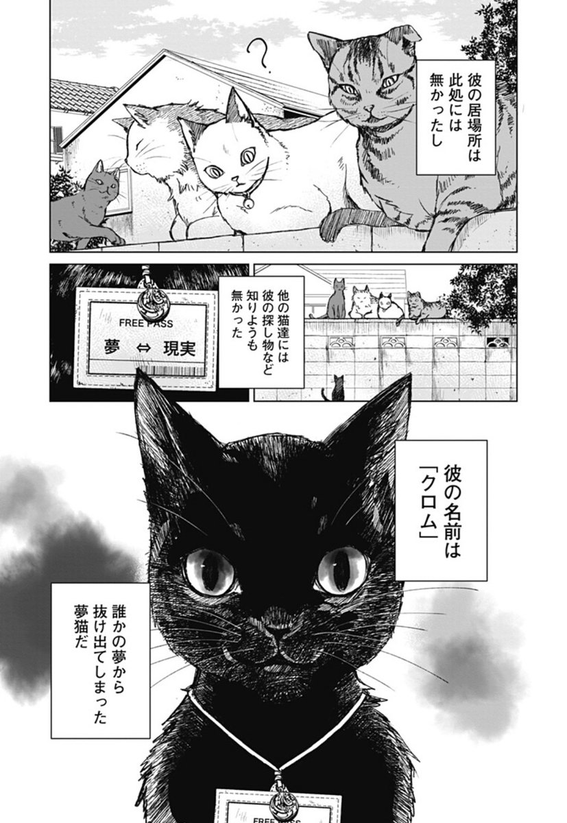 夢猫ハ闇夜ニ潜ル🐈‍⬛1/13🐈‍⬛

#漫画が読めるハッシュタグ #ホラー漫画 