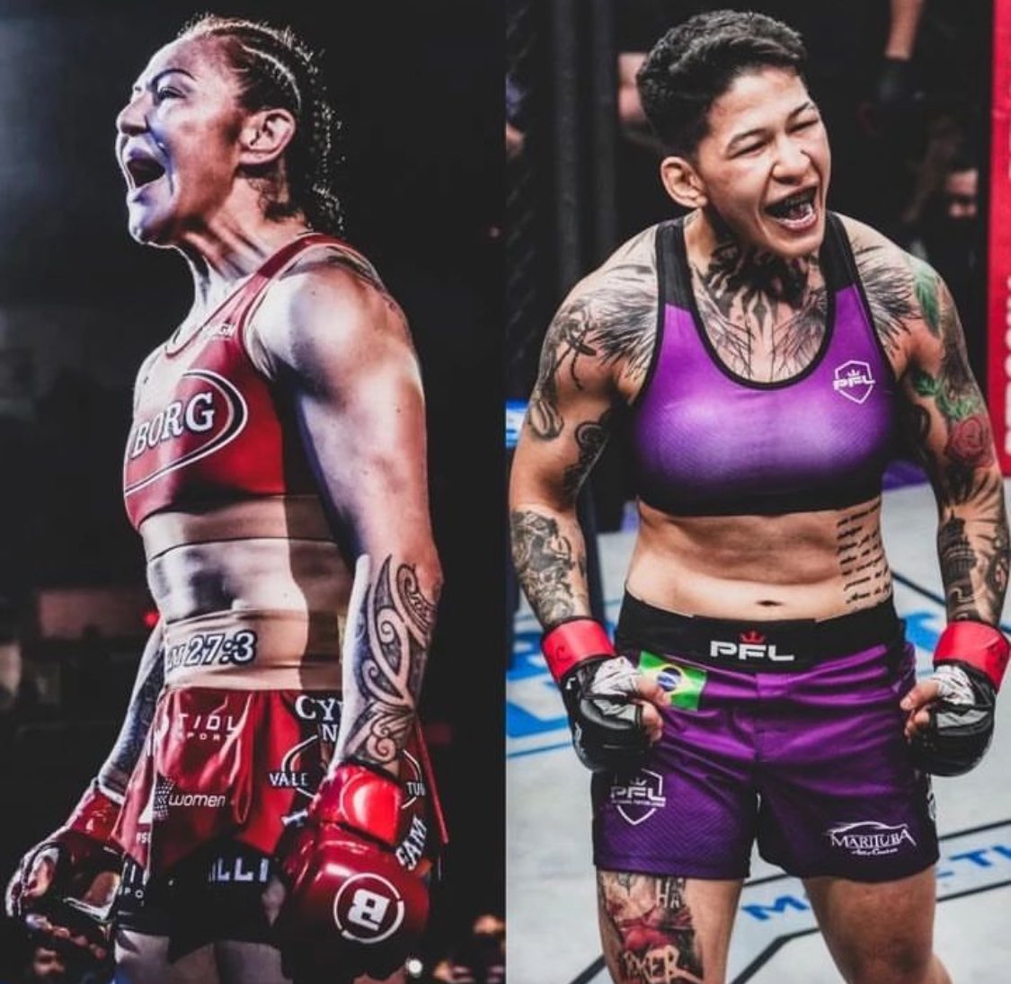 CrisCy₿org.Com tweet media